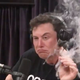 Illustration for article titled Elon Musk smokes blunt, wields samurai sword during batshit interview with Joe Rogan